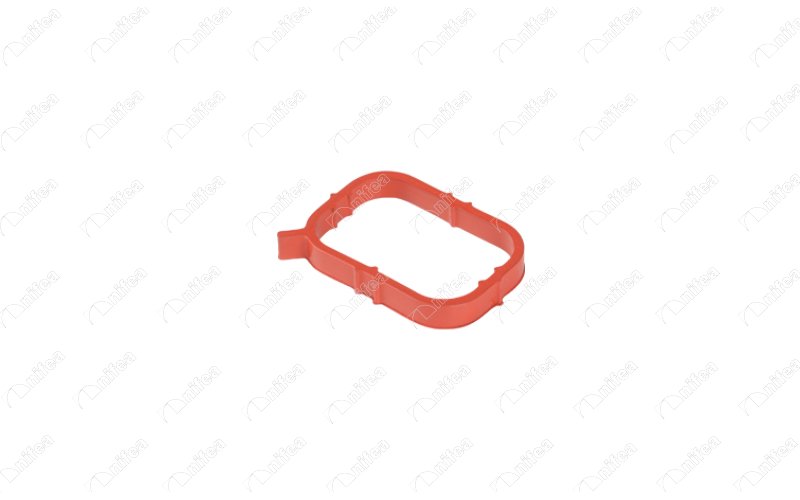 EMME MANİFOLD CONTASI