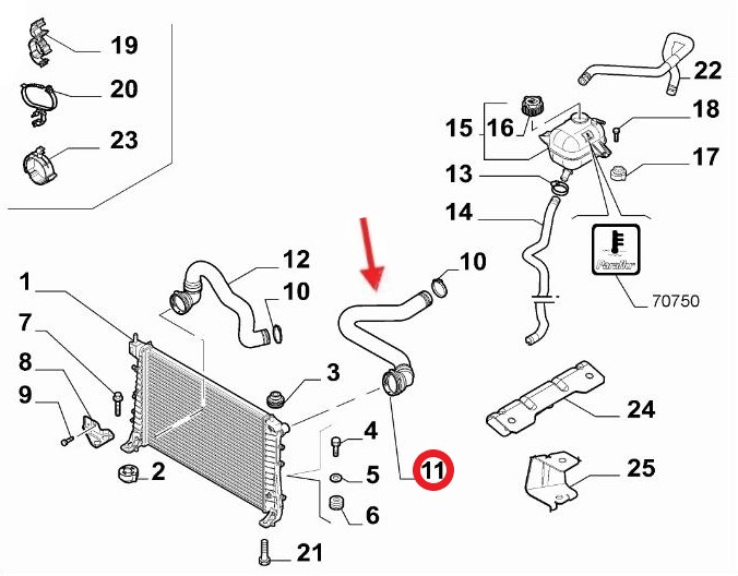 FIAT LINEA RADYATÖR GİRİŞ HORTUMU